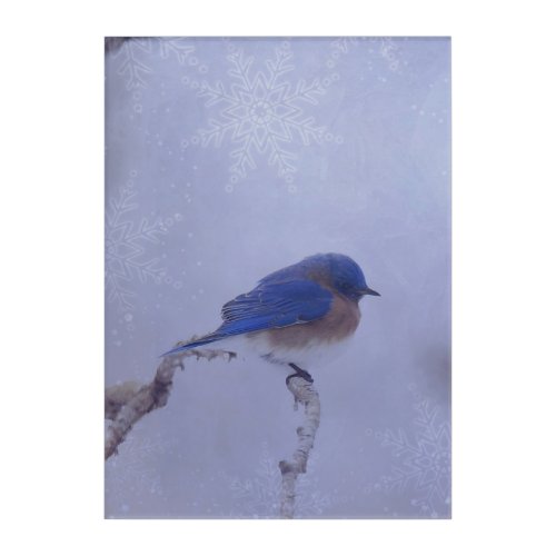 Bluebird Snowy Trees in Winter Acrylic Print