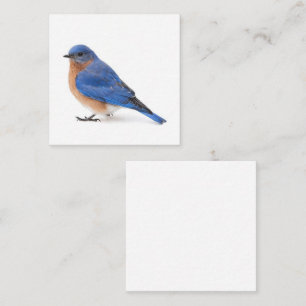 Bluebird Square Business Card