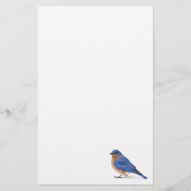 Bluebird Stationery (Front)