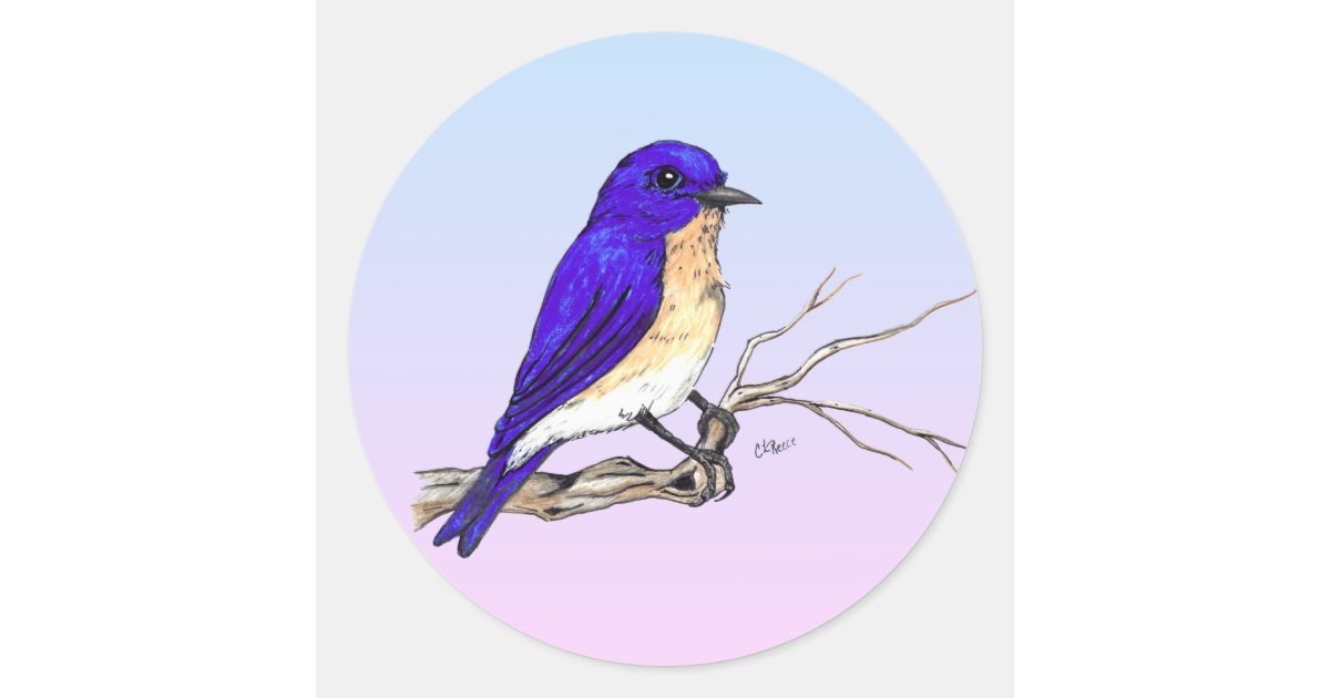Bluebird Sticker | Zazzle