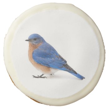 Bluebird Sugar Cookie by PixLifeBirds at Zazzle