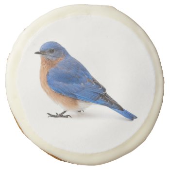 Bluebird Sugar Cookie by PixLifeBirds at Zazzle