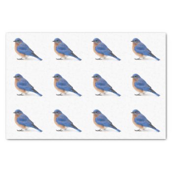 Bluebird Tissue Paper by PixLifeBirds at Zazzle