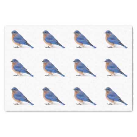 Bluebird Tissue Paper