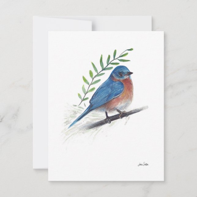Bluebird Watercolor Art  (Front)