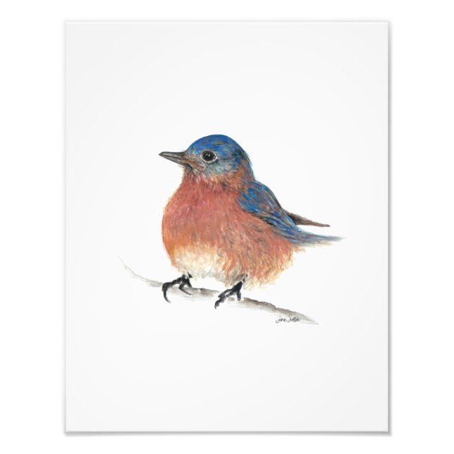 Bluebird Watercolor Fine Art Photo Print (Front)