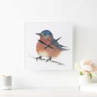 Bluebird Watercolor Fine Art