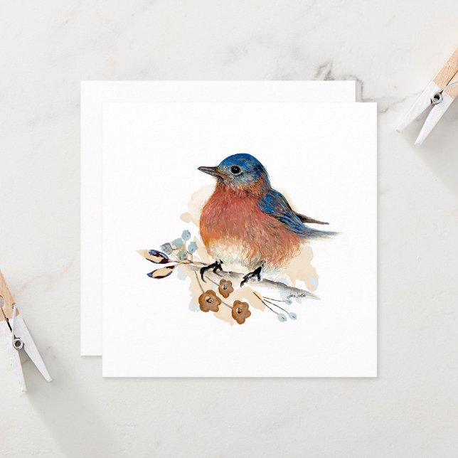 Bluebird Watercolor Painting (Beautiful Bluebird Watercolor Blank Note Card by Jenn Steffen Art)