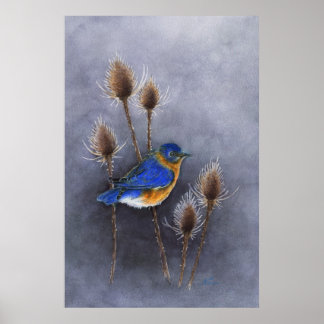 Bluebird watercolor Poster Print