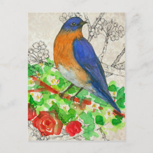 Bluebird Watercolor Red Roses Collage Postcard