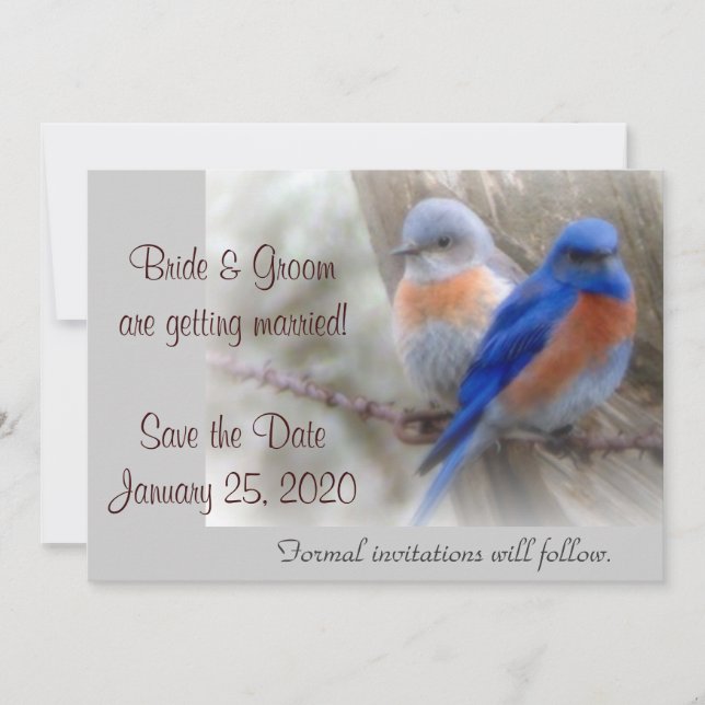 Bluebird Wedding Announcements (Front)