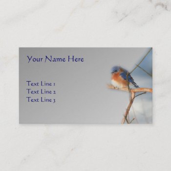 Bluebird Wildlife Nature Business Card by SmilinEyesTreasures at Zazzle