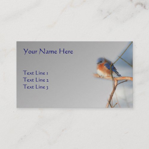 Bluebird Wildlife Nature Business Card