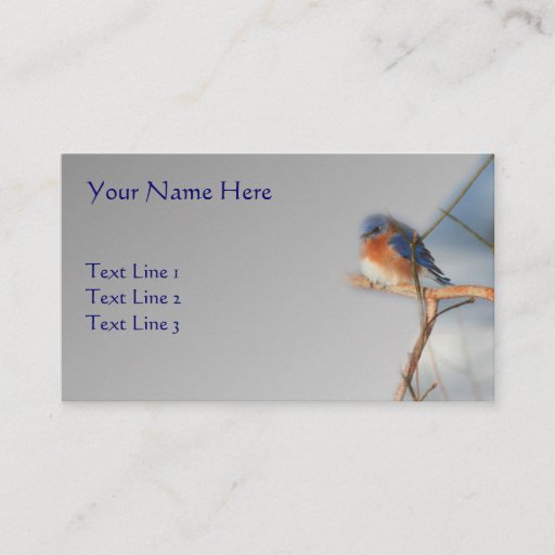 Customizable Bluebird Wildlife Nature