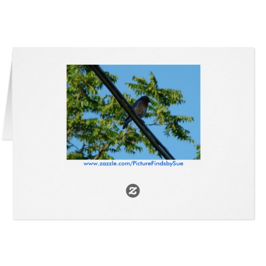 Bluebird, Wishing You A Day of Happiness (Back Horizontal)