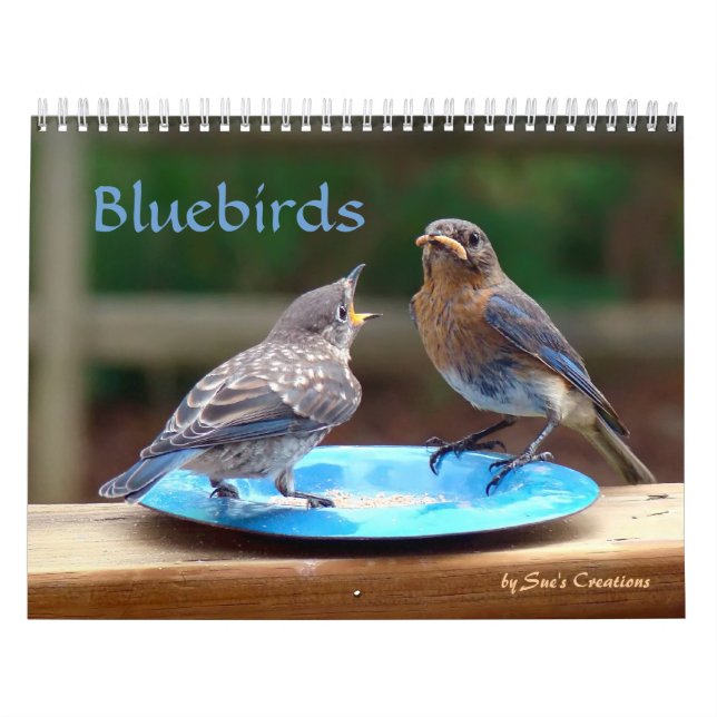 Bluebirds Calendar (Cover)