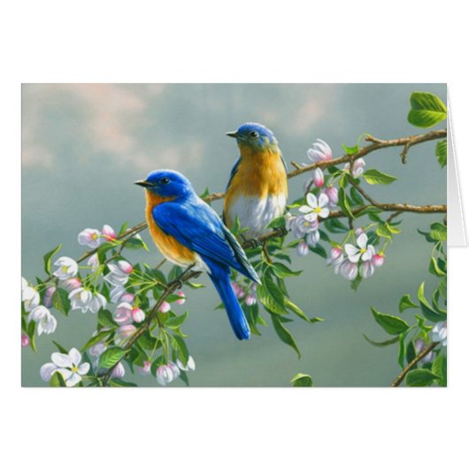 Bluebirds Cards (Front Horizontal)
