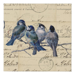 Bluebirds French Postcards Faux Canvas Print