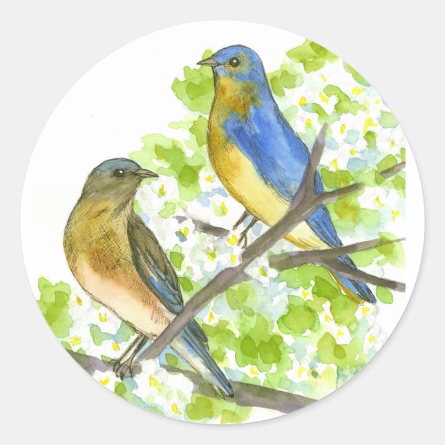 Bluebirds Hawthorn Tree Blooming Spring Flower Classic Round Sticker (Front)