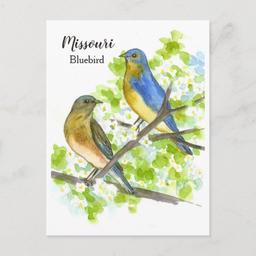 Bluebirds Hawthorn Tree Missouri State Bird Postcard