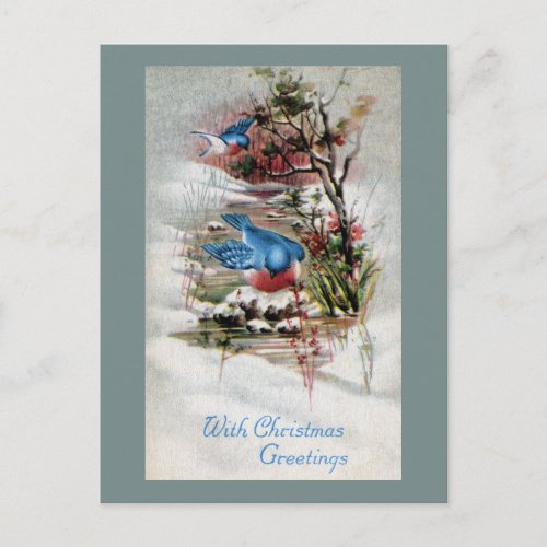 Bluebirds in Winter Vintage Christmas Holiday Postcard