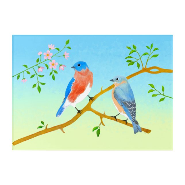 Bluebirds Pair Acrylic Print (Front)