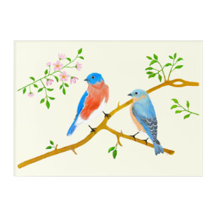 Bluebirds Pair Acrylic Print
