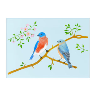 Bluebirds Pair Acrylic Print Blue