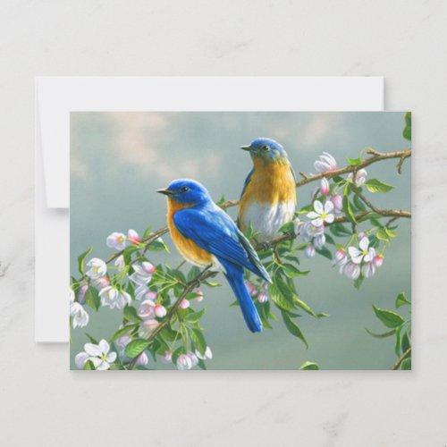 Bluebirds Postcard