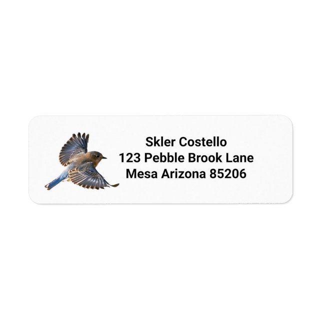 Bluebirds Return Address Labels (Front)