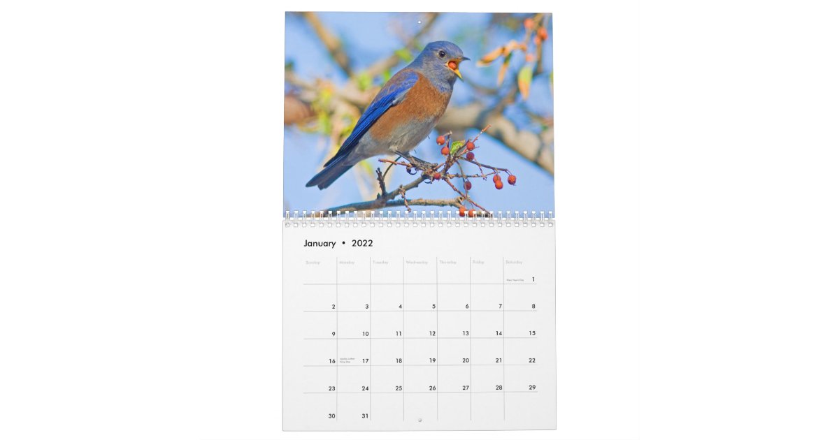 Bluebirds Wall Calendar