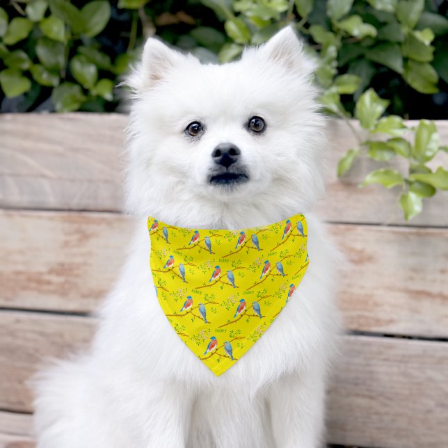 Bluebirds With Text Yellow Pet Bandana Collar (Dog)