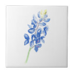Bluebonnet 1 ceramic tile<br><div class="desc">The bluebonnet image was created by hand with watercolor and then digitized.</div>