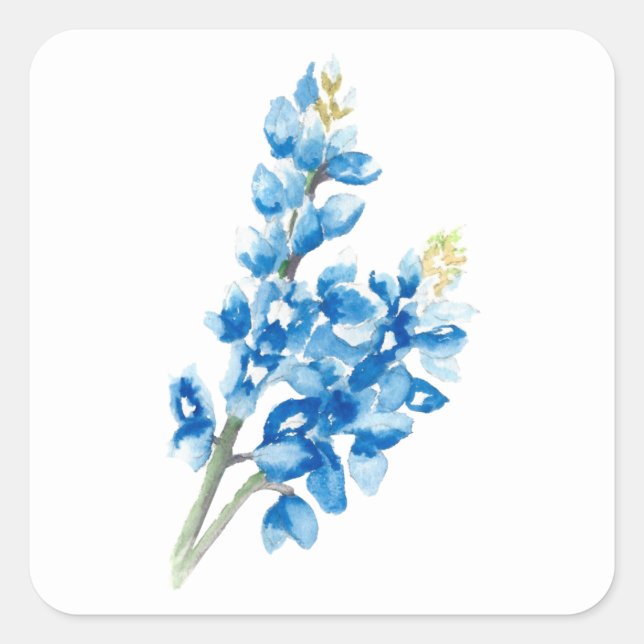 Bluebonnet 4 square sticker (Front)