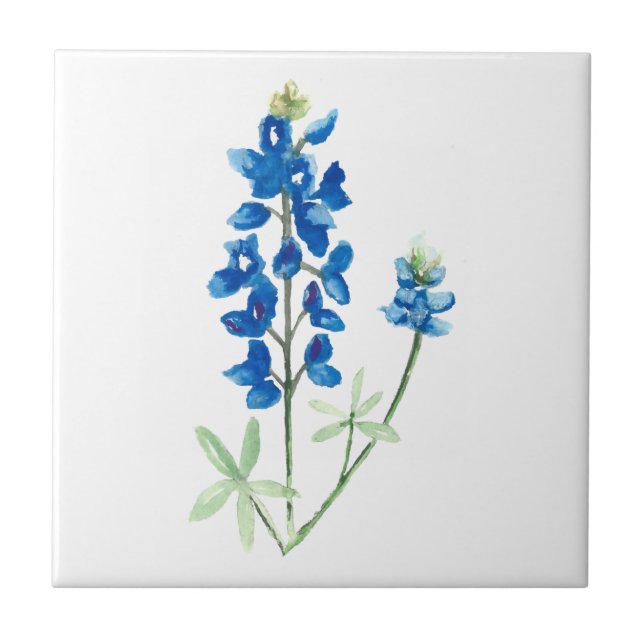 Bluebonnet 6 ceramic tile (Front)