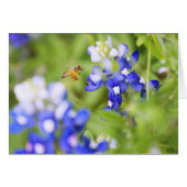 Bluebonnet and Bee (Front Horizontal)
