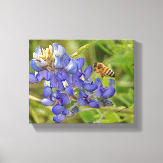 Bluebonnet and Bee photo canvas Print