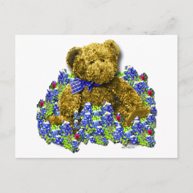Bluebonnet Bear Postcard (Front)