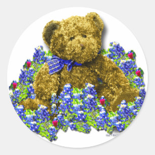 Bluebonnet Bear Sticker