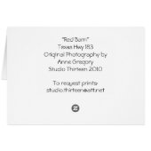 Bluebonnet Farm Cards (Back Horizontal)