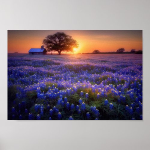 Bluebonnet Field at Sunset with Old Barn and Tree Poster
