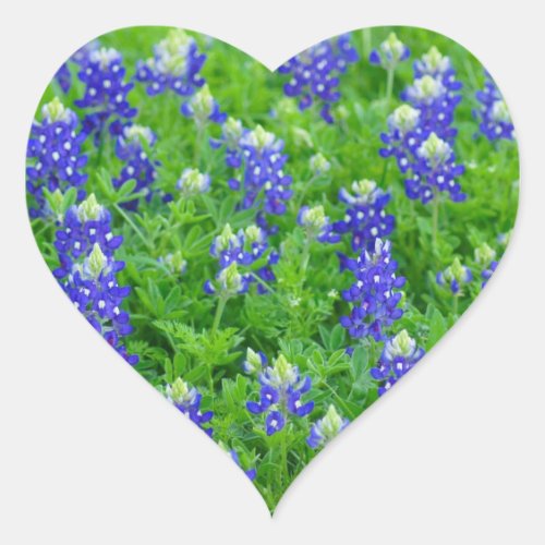 Bluebonnet Field Heart Sticker