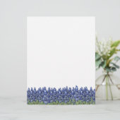 Bluebonnet Field Letterhead (Standing Front)