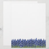 Bluebonnet Field Letterhead (Front/Back)
