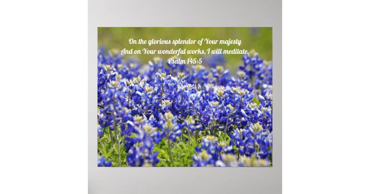Bluebonnet Flowers Scripture Poster | Zazzle