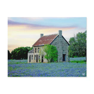 Bluebonnet House, Marble Falls, TX Postcard Bluebonnet House, Marble Falls, TX Postcard