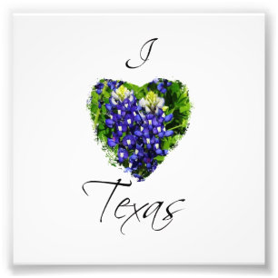 Bluebonnet "I heart Texas" Square Photograph Print