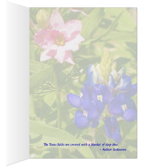 Bluebonnet of Texas w/insert (Inside (Right))