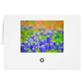 Bluebonnet on Canvas (Back Horizontal)