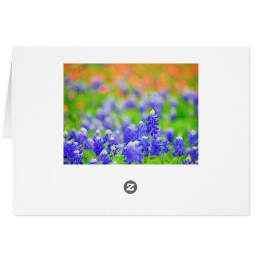 Bluebonnet on Canvas (Back Horizontal)